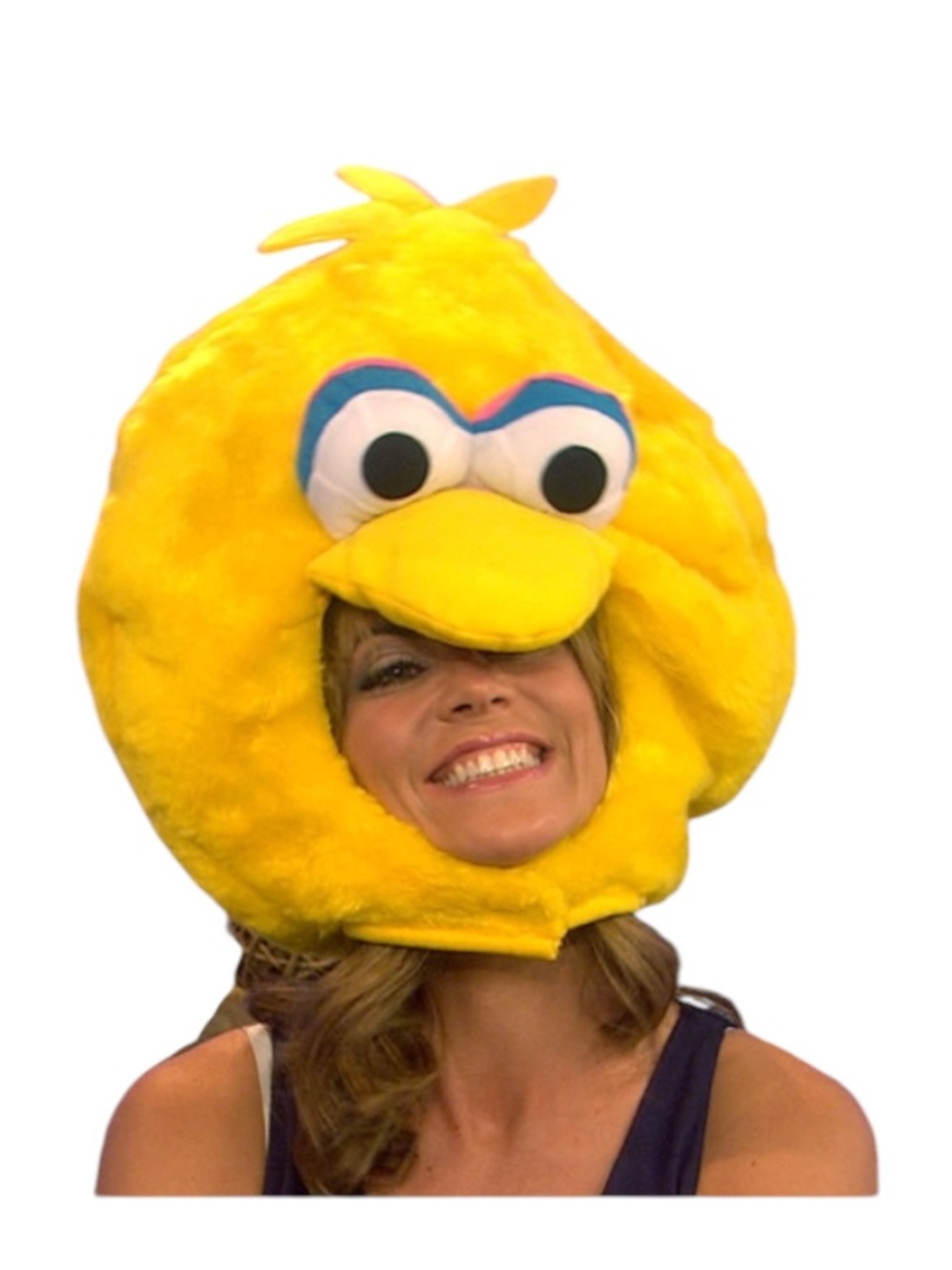 Yellow Bird Costume Headpiece - Plush Character Hood one size